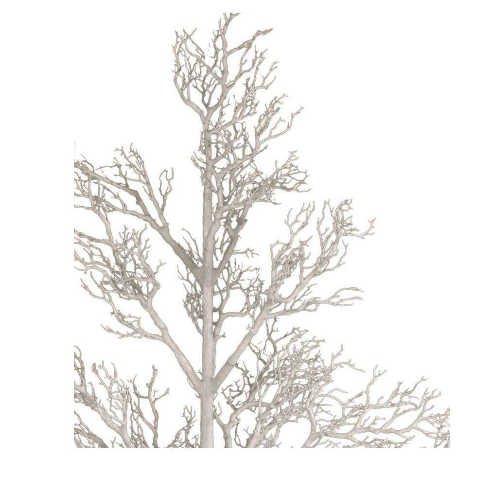 96 Ramoscello di legno morto