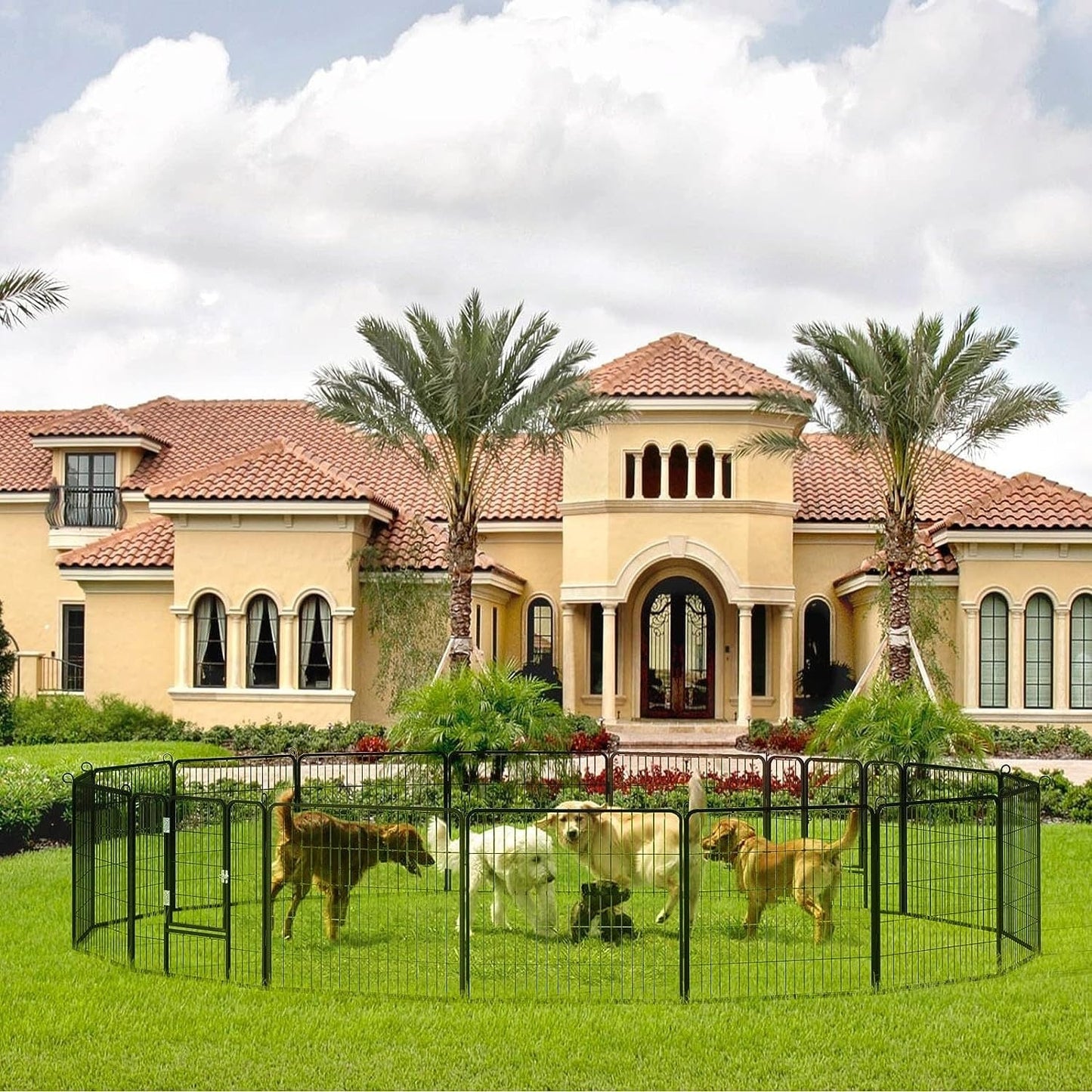 Box per cani Bossin, recinto per cani, recinto per esercizi con porte, pannello 8/16/24