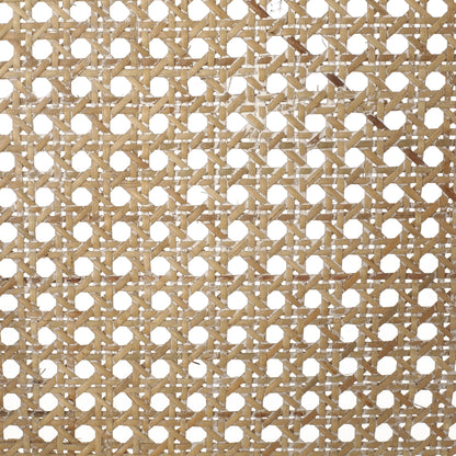 Christopher Knight Home Cataldo Sgabelli da bar in legno e canna imbottiti in tessuto da 25,5 pollici (set di 2)