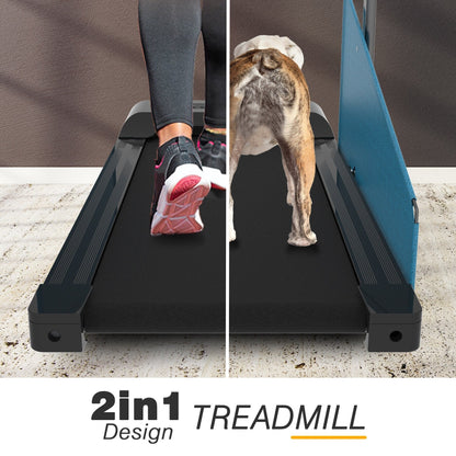 Tapis roulant per cani con display a LED