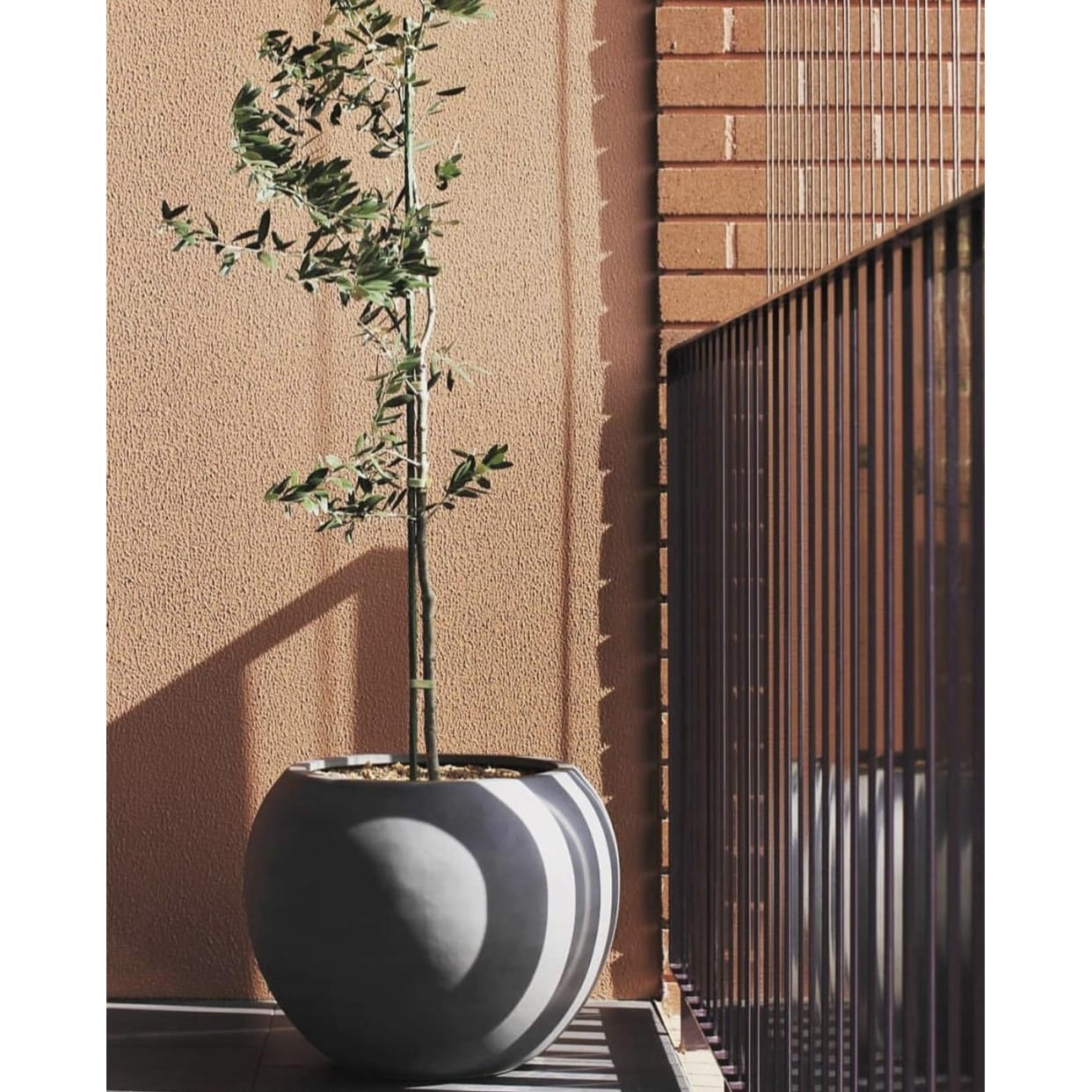 DreamPatio Riverside Fiberstone Modern Sphere Planter per interni/esterni