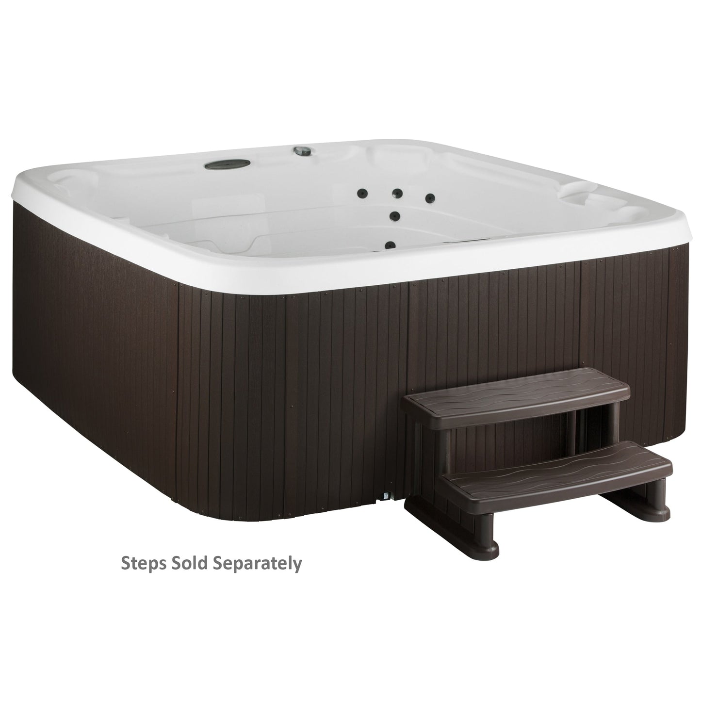 Lifesmart LS450DX Spa Plug and Play da 7 persone, 22 getti, 110 V, con cascata