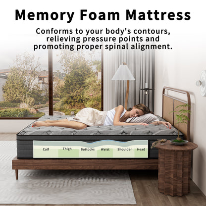 Materasso Modland Hybrid Medium Euro Top da 14 pollici, materasso a molle insacchettate in una scatola