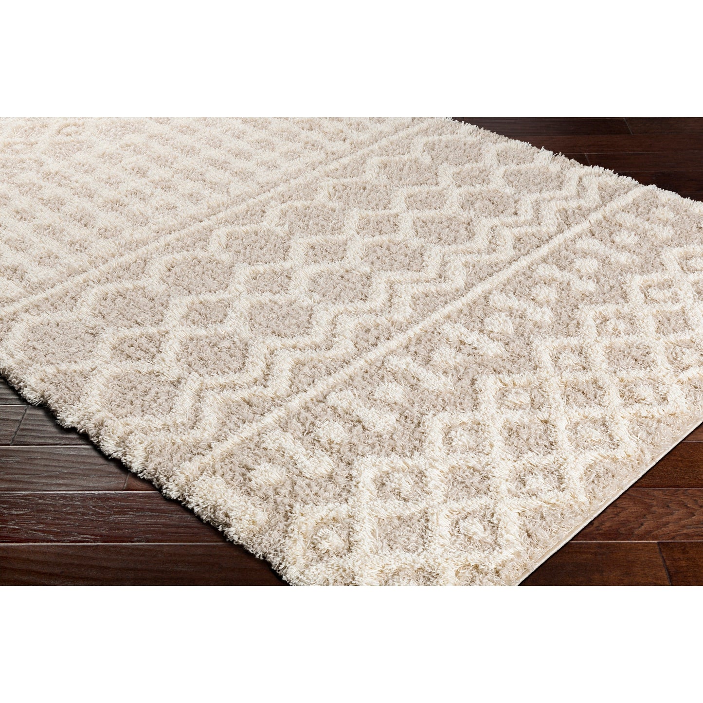 Tappeto Livabliss Newton Geometric Moroccan Trellis Shag